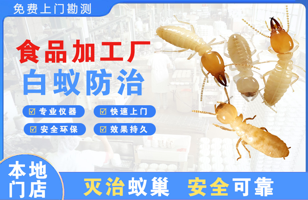 大足食品加工厂白蚁防治