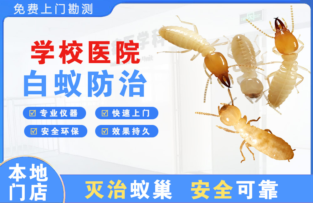 大足学校医院白蚁防治